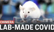 US Lab Creates ‘Chimera’ COVID Strain That Killed 80 Percent of Mice Studied | Facts Matter
