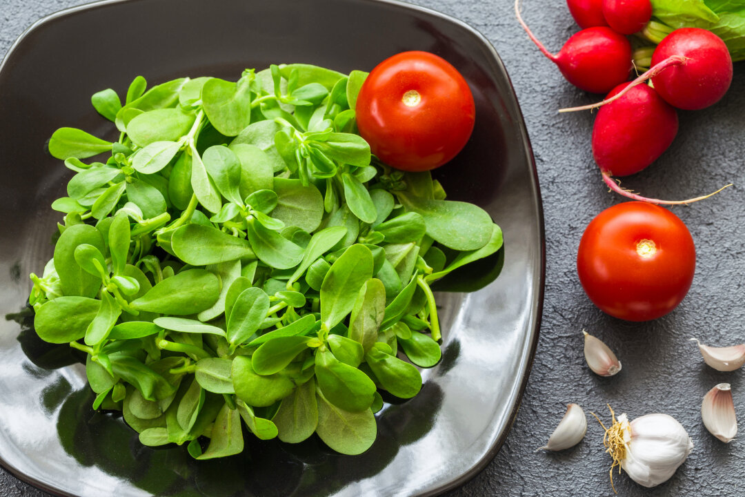 Many people who find purslane in their garden treat it as a weed. That's unfortunate because this easy-to-grow plant is a genuine superfood. (Hakan Eliacik/Shutterstock)