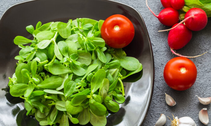 Purslane: A Weed, a Superfood and Potent Medicine