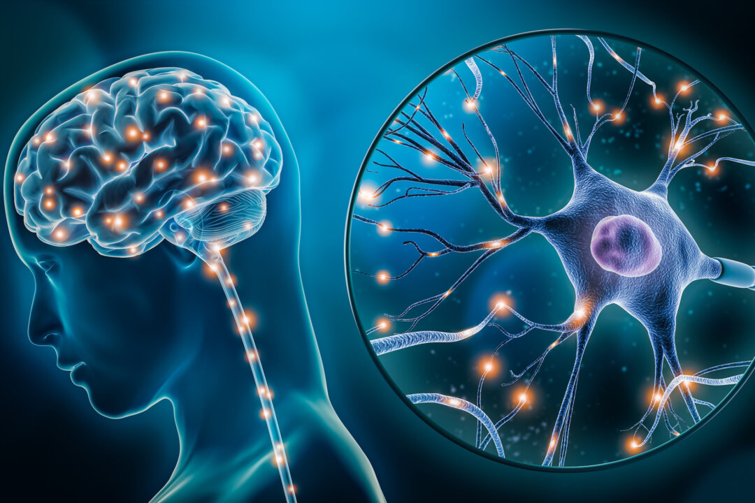 Eating healthy, nourishing foods can go a long way in helping to improving brain function and mental health (MattLphotography/Shutterstock)
