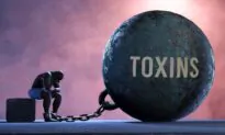 BPA Safety: The Toxic Chemical Limbo Game