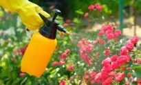 Pesticide Resistance