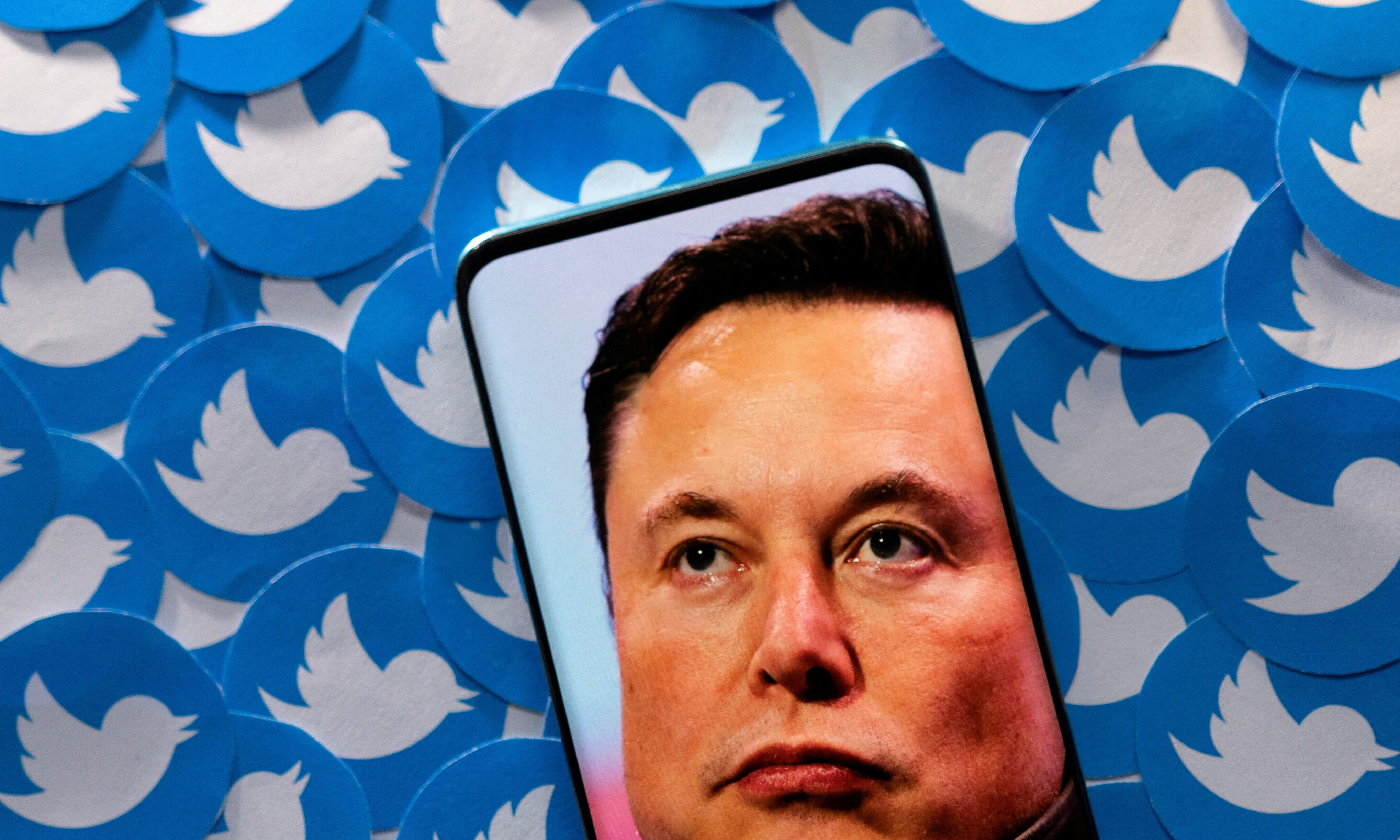 Twitter Bans 'Free Promotion' of Other Social Media Platforms, Then Loosens New Rule - Vimarsana News