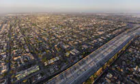 Organized Chaos in South Central, Los Angeles