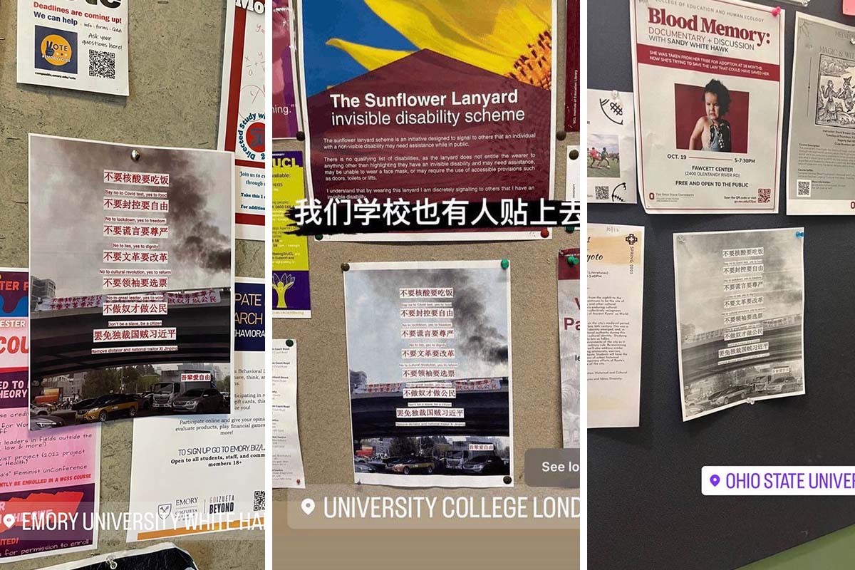 'Let the World Know Our Stance': Overseas Chinese Students Echo Beijing's 'Bridge Man' - Vimarsana News