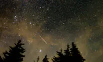 Orionid Meteor Shower to Peak in the Night Sky Late October—Here’s How You Can Catch the Light Show
