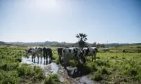 AgTech Hackathon Seeks to Solve Farming Problems Through Innovation, Technology