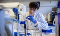‘Publish or Perish’: Academics Pumping Out Trivial Research for the Sake of the Dollar