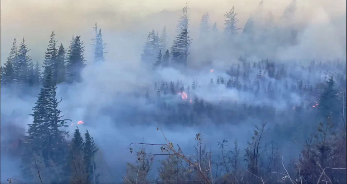 Smoke billows in a forested area after the Nakia Creek Fire exploded in Clark County, Wash., on Oct. 16, 2022, in this still image taken from video obtained from social media. (Clark County Fire District 3/via Reuters)