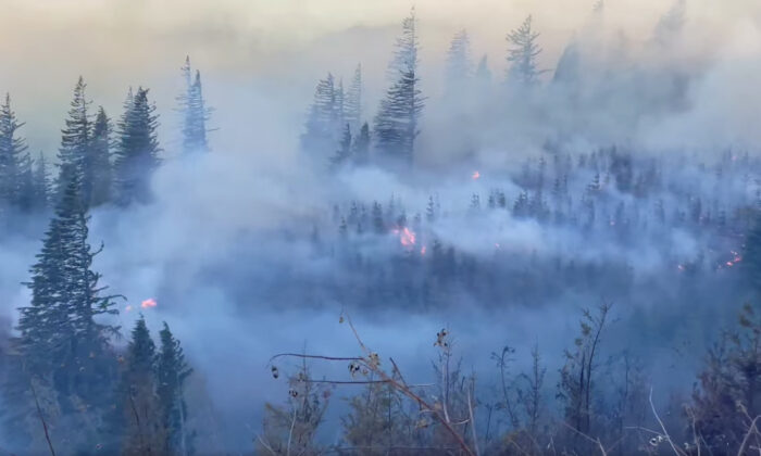 2022 年 10 月 16 日，华盛顿州克拉克县发生 Nakia Creek 大火后，一片森林地区的浓烟滚滚，这张静止图像取自社交媒体上的视频。  （克拉克县消防区 3/通过路透社）