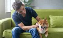 10 Signs That You May Need a New Pet
