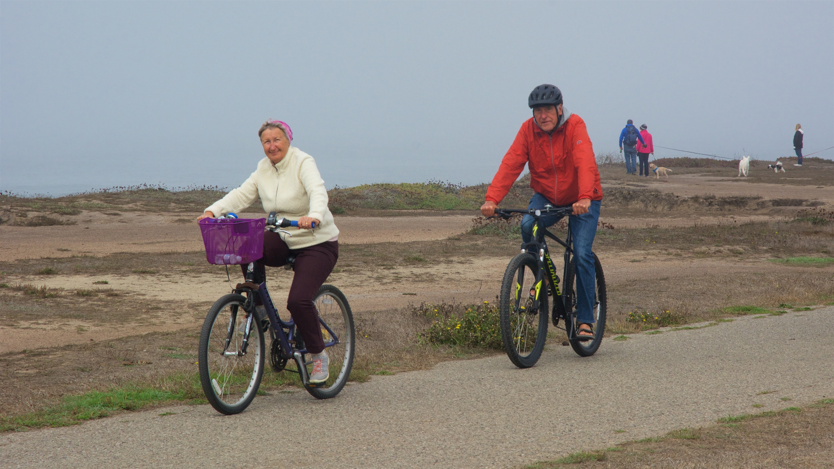 An Autumn Day in Half Moon Bay - Vimarsana News