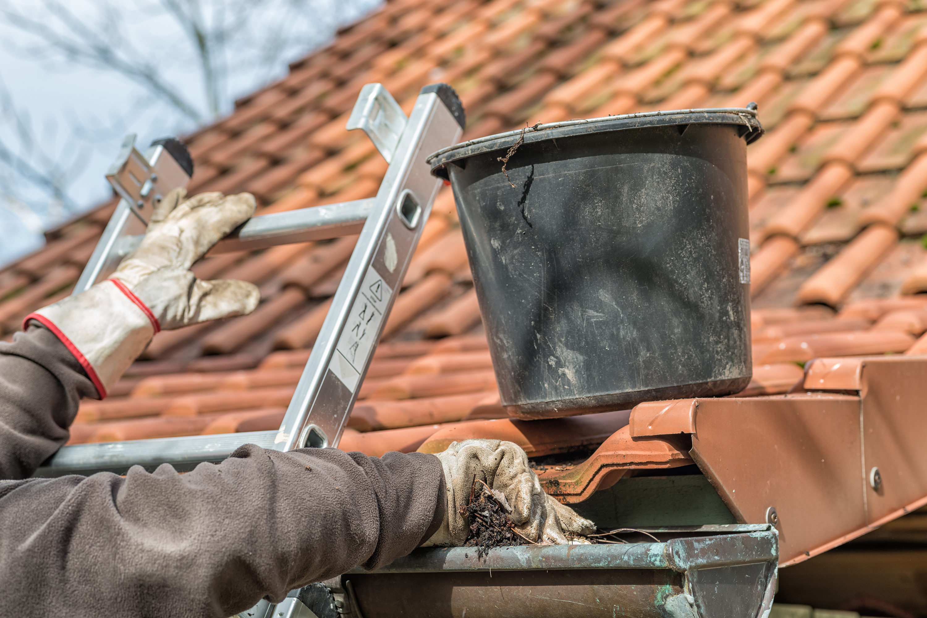 Here Is How to Properly Clean Your Gutters - Vimarsana News