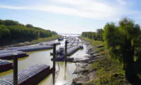 Barges on Drought-Stricken Mississippi River ‘Dead in the Water,’ Causing Severe Supply Chain Issues