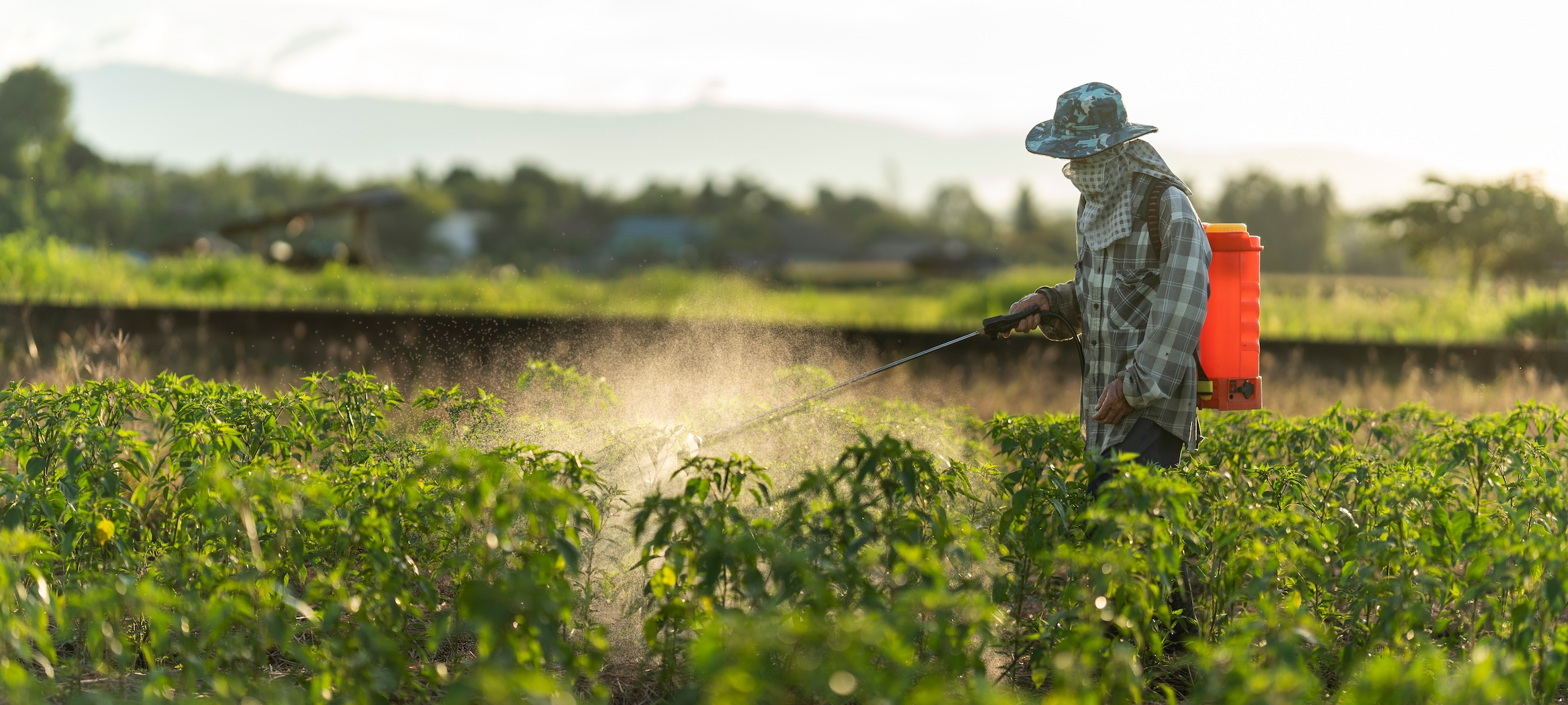 How Pesticides and Herbicides Affect Farmers - Vimarsana News
