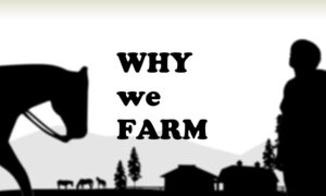 Why We Farm | Documentary