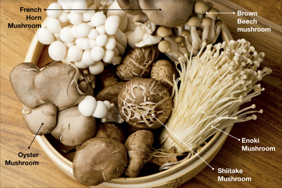 Taiwanese nutritionist Chang Yi-ting says mushrooms are rich in polysaccharides that can help fight cancer, lower cholesterol, and enhance one’s immune functions. They are also low in sodium, high in potassium, and rich in many minerals. Moderate consumption can help stabilize blood pressure.(Shutterstock/The Epoch Times)
