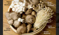 Nutritional Benefits of 5 Kinds of Mushroom