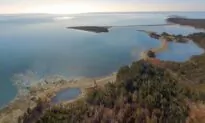 Nova Scotia’s Retirement Home for Captive Whales Facing Obstacles, Delays: Documents