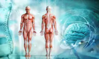 Muscle Is Important for Good Health – Here’s How to Maintain It After Middle Age