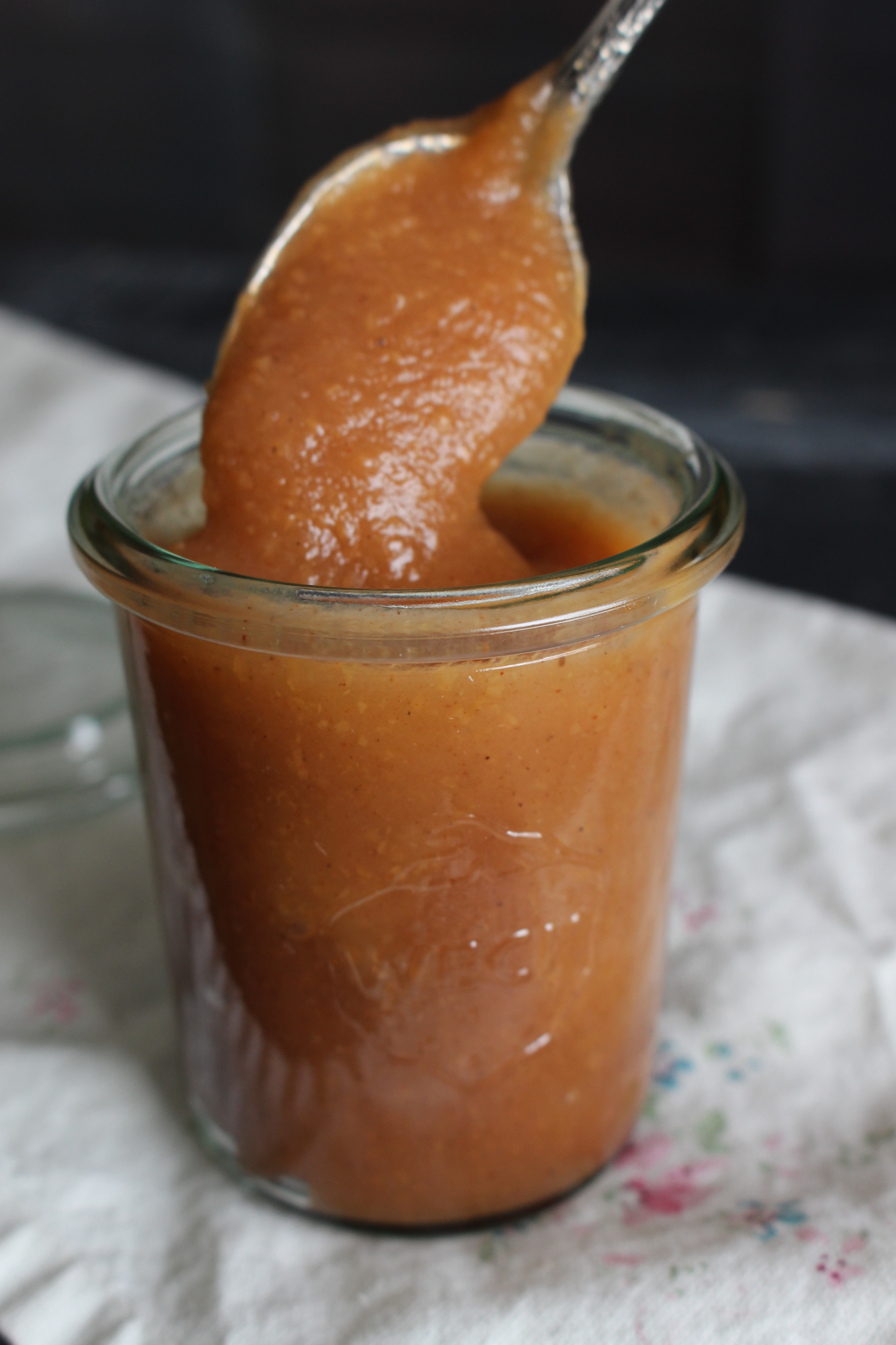 Apple Butter - Stephanie Thurow
