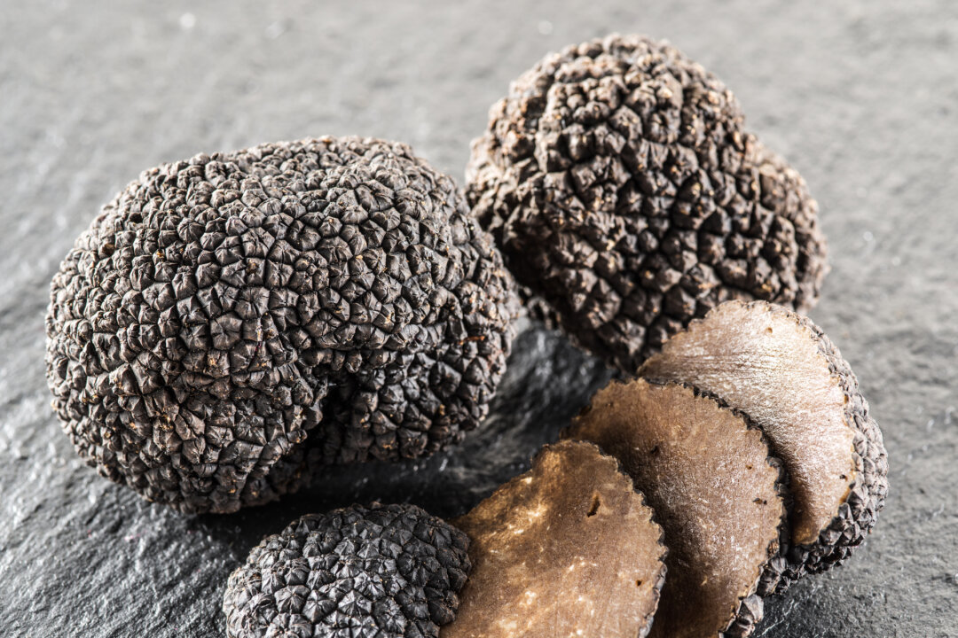 Truffles are classified by appearance, aroma and taste, as well as origin and season. (Dreamstime/TNS)