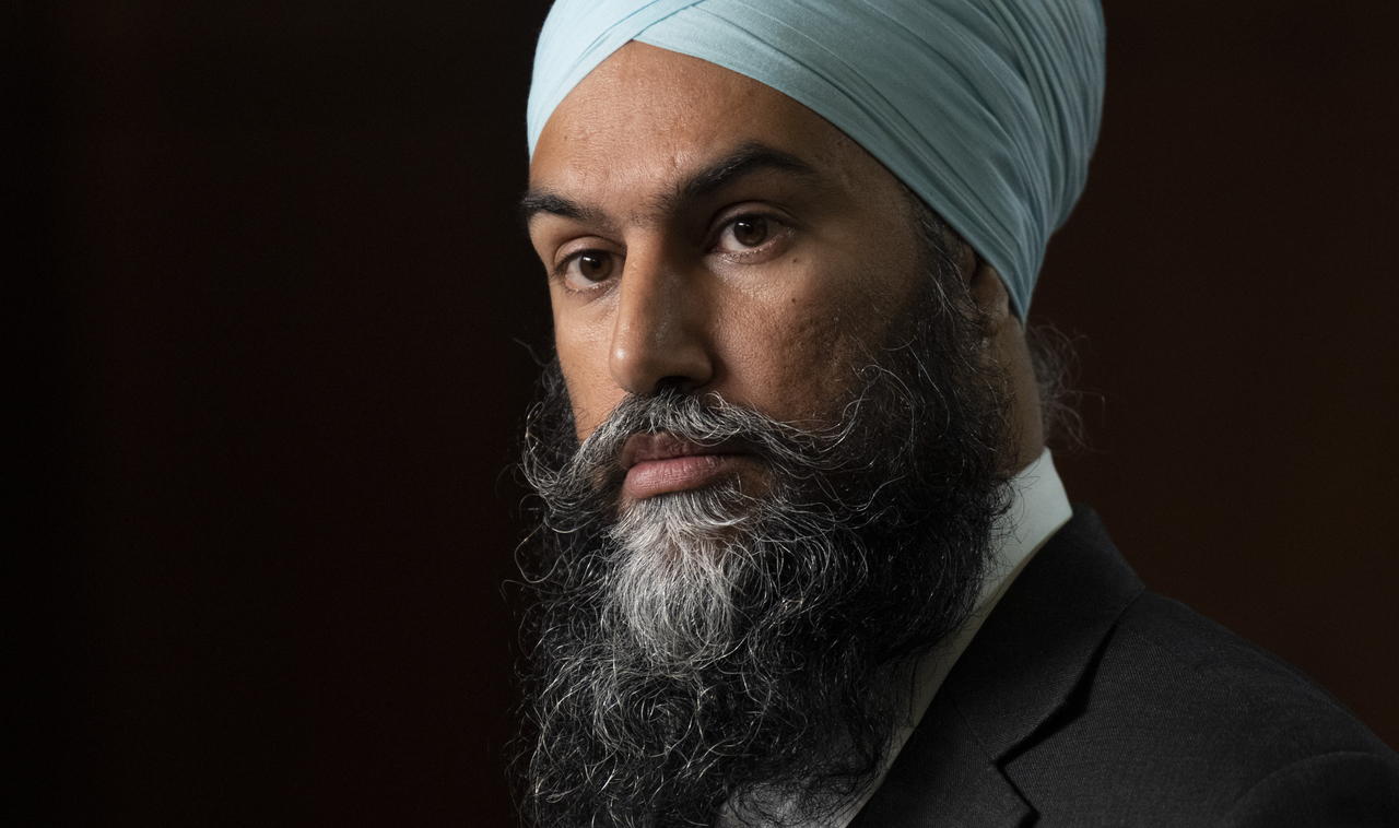 NDP Motion Asks Johnston to Step Down as Special Rapporteur - Vimarsana News