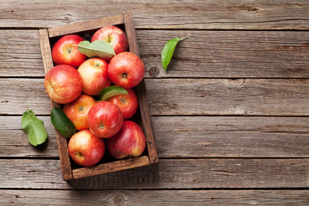 Take advantage of the seasonal abundance of apples to stock the pantry for the months to come.(Evgeny Karandaev/Shutterstock)