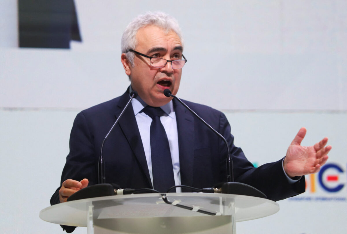 NextImg:Canada Must Quickly Become a World Leader in Critical Minerals, Says IEA