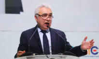 Canada Must Quickly Become a World Leader in Critical Minerals, Says IEA