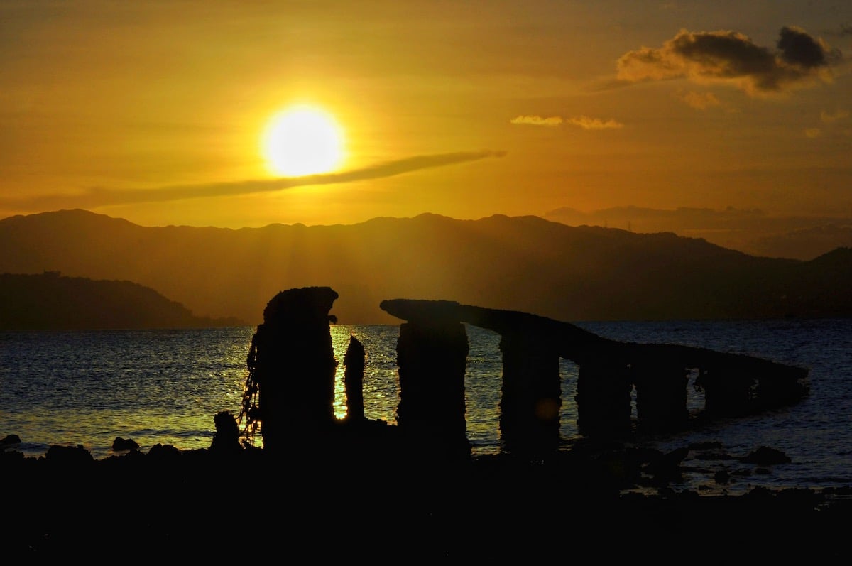 Epoch Times Photo