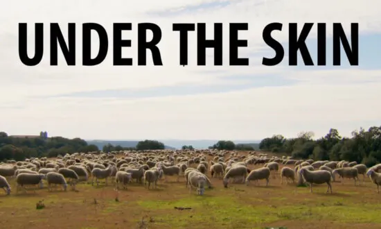 Epoch Cinema Documentary Review: ‘Under the Skin’