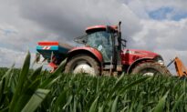 US Nitrogen Exports Jump as Europe Scrambles for Fertilizer