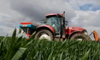 Iran War Hikes Fertilizer Prices, Squeezing Farmers in Planting Season