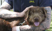 OC Extends Program for Inmates to Rehabilitate Through Dog Training