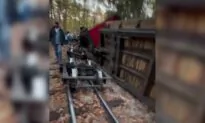 ‘Bounced up Like It Hit a Bump’: Train Derails at Missouri Amusement Park
