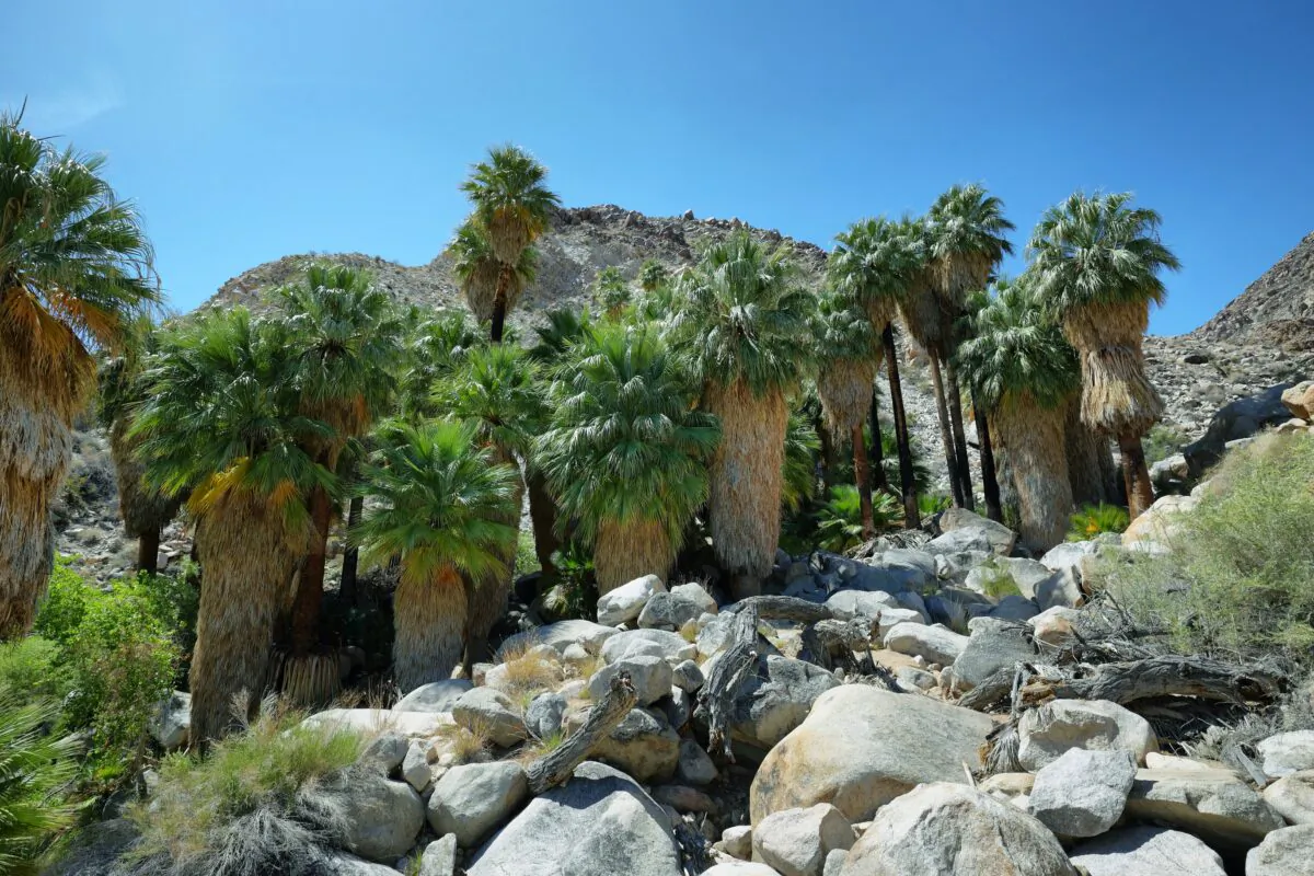 What is the perfect getaway place for you and your friends? (Dreamstime/TNS)