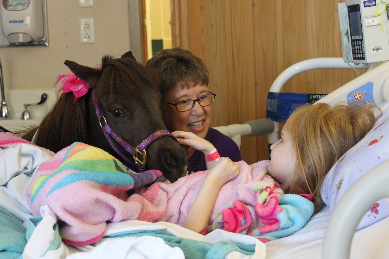 An Illinois Mother Spreads Joy by Bringing Pony Comfort Animals to Nursing Homes and Schools - Vimarsana News