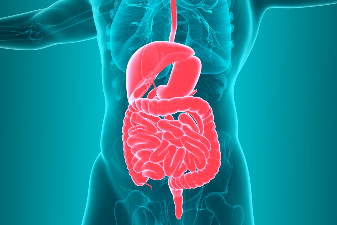 5 Tips to Boost Your Immune System and Your Gut Health