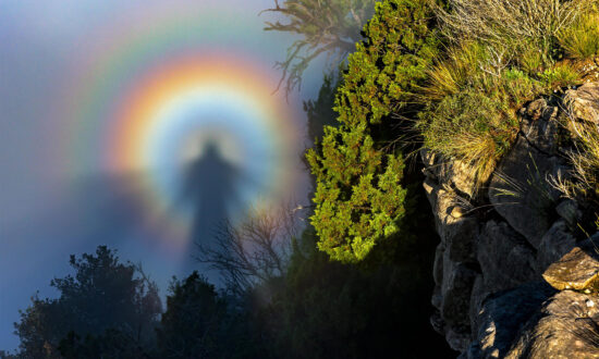 Weather Photographer of the Year 2022: Spectacular Photos Celebrate Nature's Mystic Moods