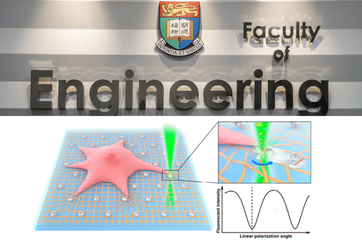 Hong Kong University (HKU) has successfully developed a new technology to measure the rotational motion of cells, which will help to reveal the development and causes of cancer. (Courtesy of HKU)
