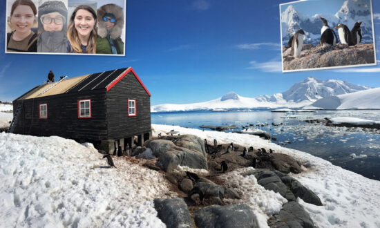 4 Women Depart UK for Antarctic to Run World's Most Remote Post Office—and Count Penguins—for Winter