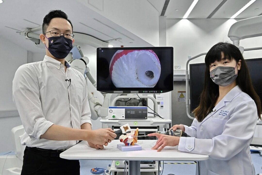 The CUHK interdisciplinary team develops a microrobot for the treatment of otitis media, a ductal bacterial membrane infection in patients. Dr. Chang Wai-tsz (R), Assistant Professor, Department of Otorhinolaryngology (ENT), Head and Neck Surgery, Faculty of Medicine, CUHK, is seen here with her team member demonstrating its operating principle. (Sung Pi-lung/The Epoch Times)