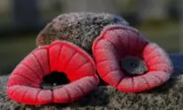 New Poppy Campaign Initiatives Seek to Modernize the Tradition of Remembrance