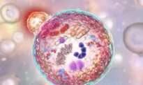 Natural Ways to Increase Autophagy and Detox Spike Proteins After COVID Infection, Vaccination