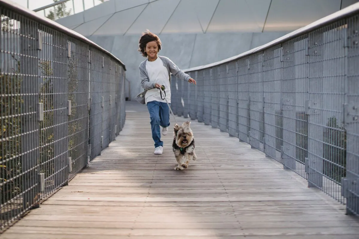Taking care of a pet can offer many joyful experiences, especially for kids. (Sam Lion/Unsplash)