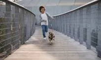 The Pros and Cons of Pet Ownership