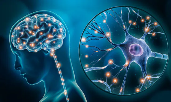 4 Common Fruits Could Improve Memory, Cognitive Issues: Global Study