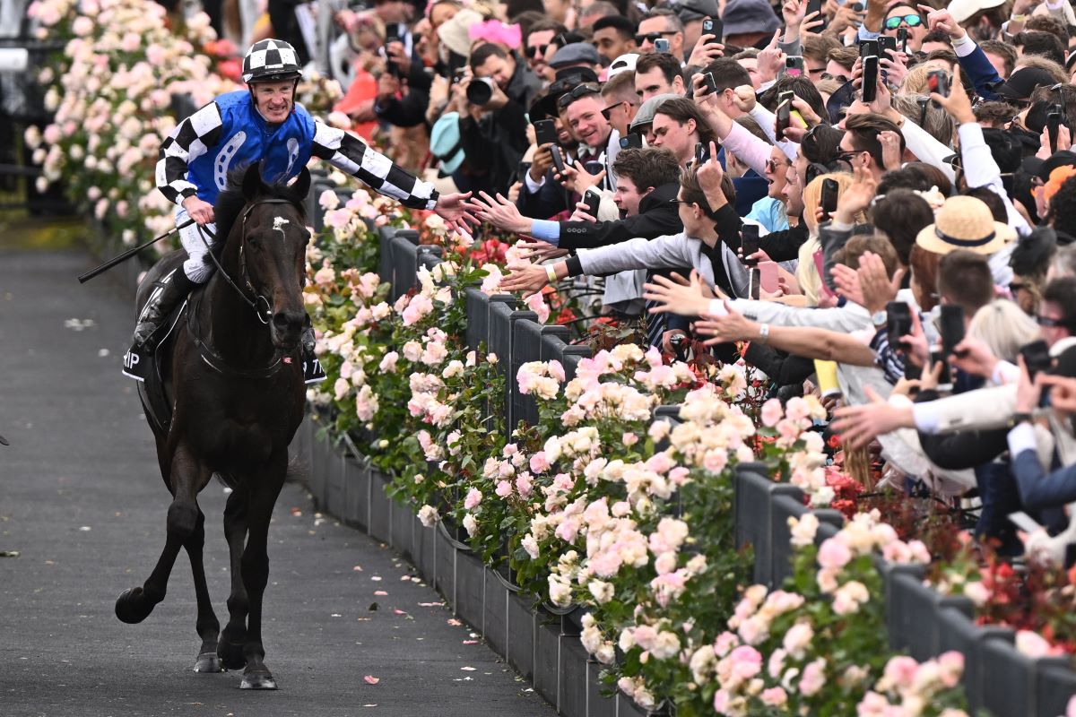 Gold Trip Claims the 2022 Melbourne Cup - Vimarsana News