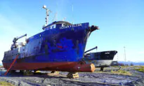 Alaska Fish and Game Announces Reopening of Red King Crab Harvest After Two-Year Closure